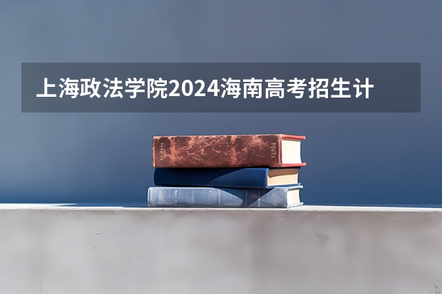 上海政法学院2024海南高考招生计划详解