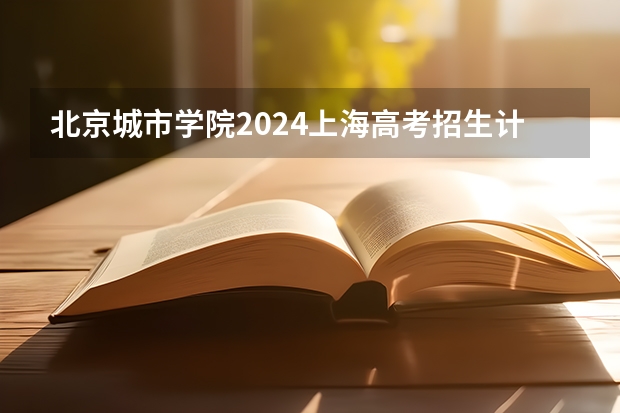 北京城市学院2024上海高考招生计划详解