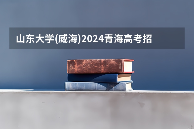 山东大学(威海)2024青海高考招生计划详解