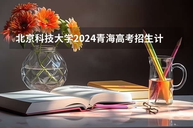 北京科技大学2024青海高考招生计划详解