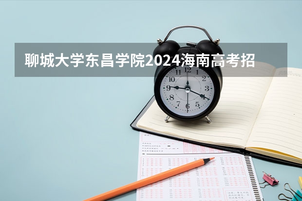 聊城大学东昌学院2024海南高考招生计划详解