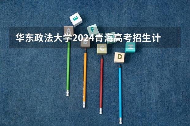 华东政法大学2024青海高考招生计划详解
