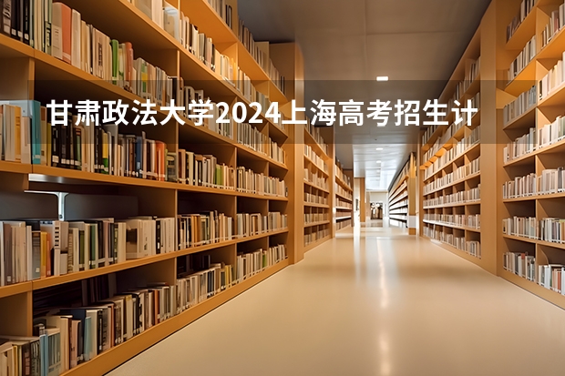 甘肃政法大学2024上海高考招生计划详解