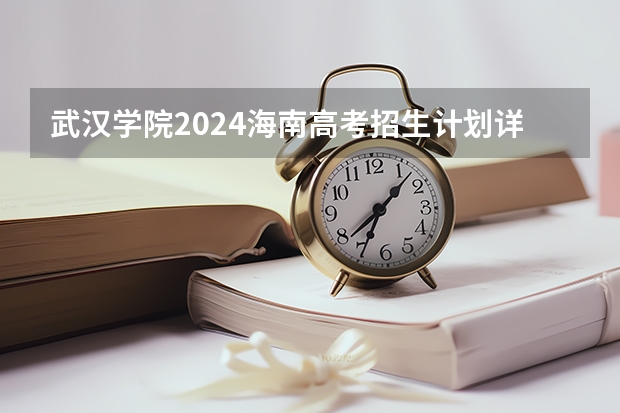 武汉学院2024海南高考招生计划详解