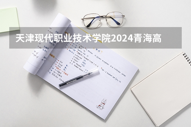 天津现代职业技术学院2024青海高考招生计划详解