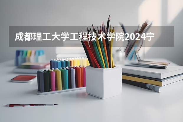 成都理工大学工程技术学院2024宁夏高考招生计划详解