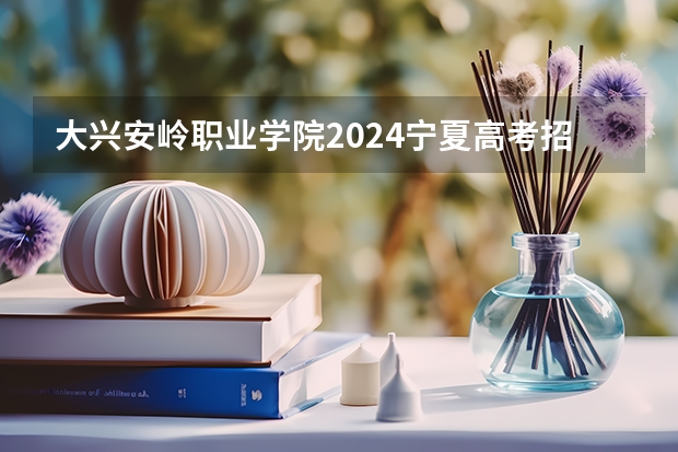 大兴安岭职业学院2024宁夏高考招生计划详解
