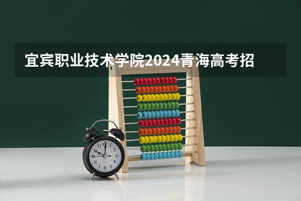 宜宾职业技术学院2024青海高考招生计划详解