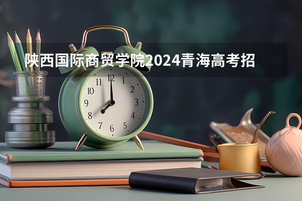 陕西国际商贸学院2024青海高考招生计划详解