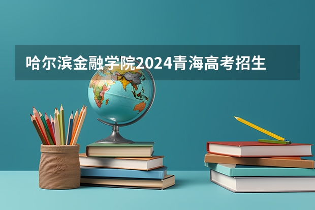 哈尔滨金融学院2024青海高考招生计划详解