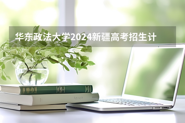 华东政法大学2024新疆高考招生计划详解