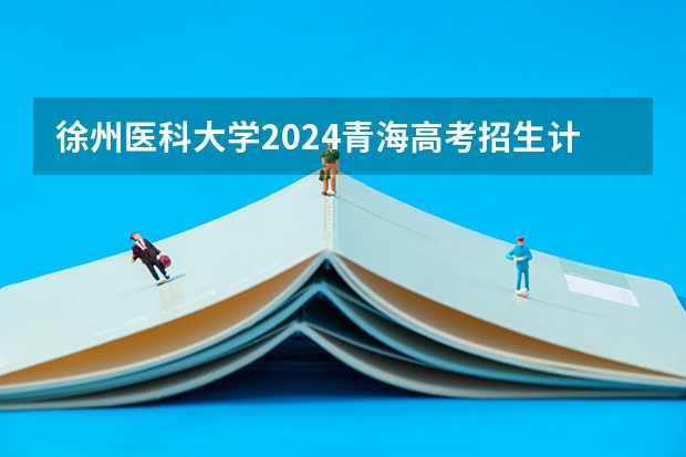 徐州医科大学2024青海高考招生计划详解