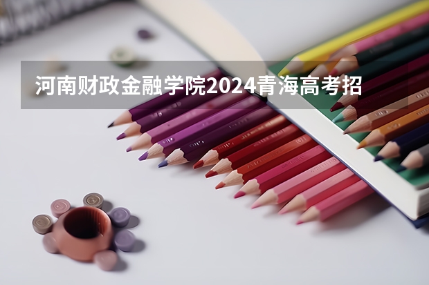 河南财政金融学院2024青海高考招生计划详解