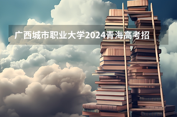 广西城市职业大学2024青海高考招生计划详解