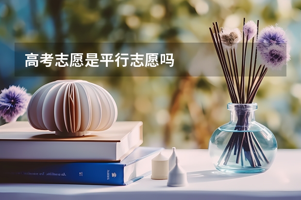 高考志愿是平行志愿吗