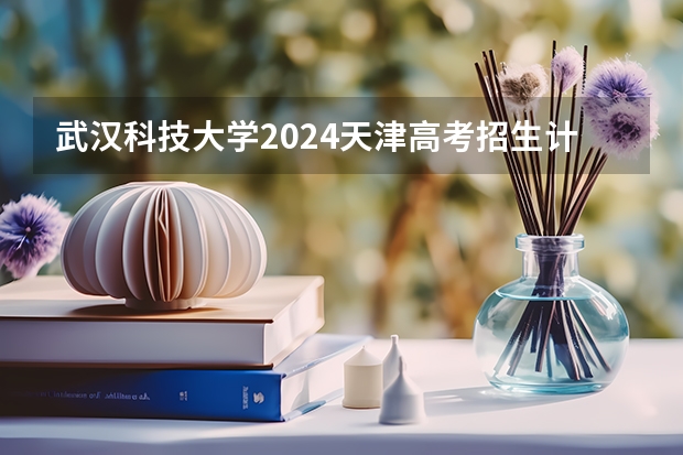 武汉科技大学2024天津高考招生计划详解