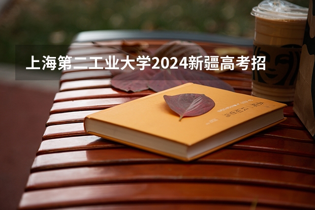 上海第二工业大学2024新疆高考招生计划详解