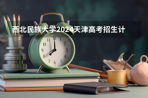 西北民族大学2024天津高考招生计划详解