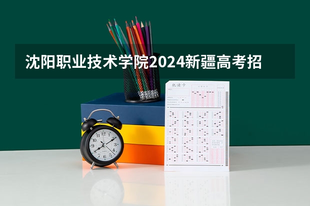 沈阳职业技术学院2024新疆高考招生计划详解