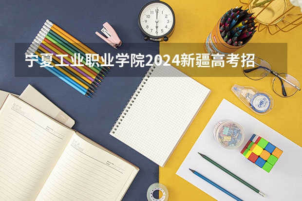 宁夏工业职业学院2024新疆高考招生计划详解