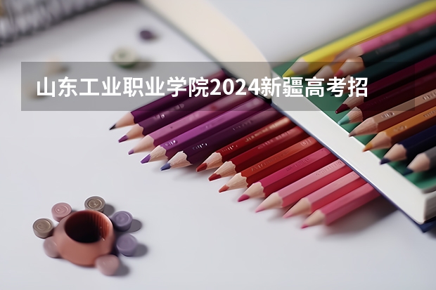 山东工业职业学院2024新疆高考招生计划详解