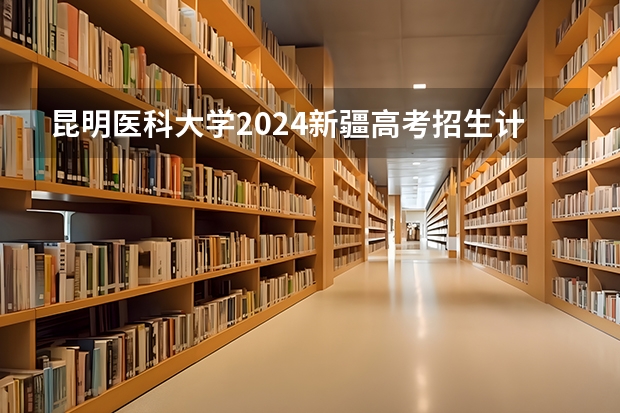 昆明医科大学2024新疆高考招生计划详解