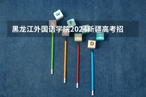 黑龙江外国语学院2024新疆高考招生计划详解