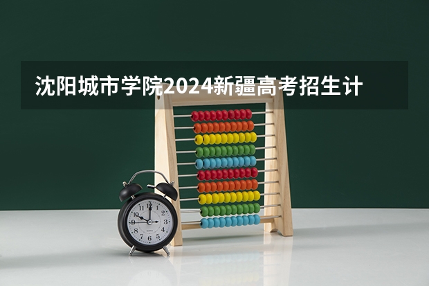 沈阳城市学院2024新疆高考招生计划详解