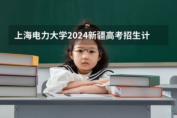 上海电力大学2024新疆高考招生计划详解
