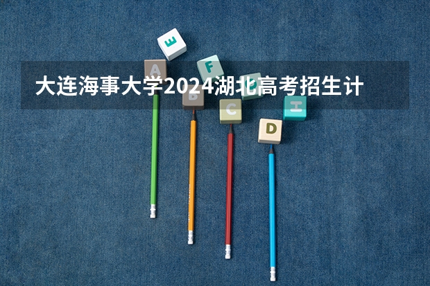 大连海事大学2024湖北高考招生计划详解